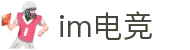 IM(股份有限公司)电竞-电子竞技官网