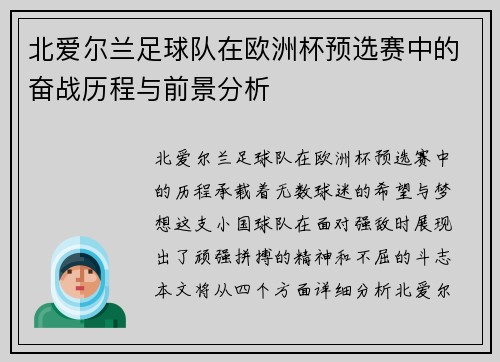 北爱尔兰足球队在欧洲杯预选赛中的奋战历程与前景分析